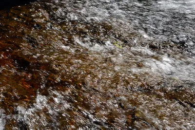 DSC_9897 (Large).JPG